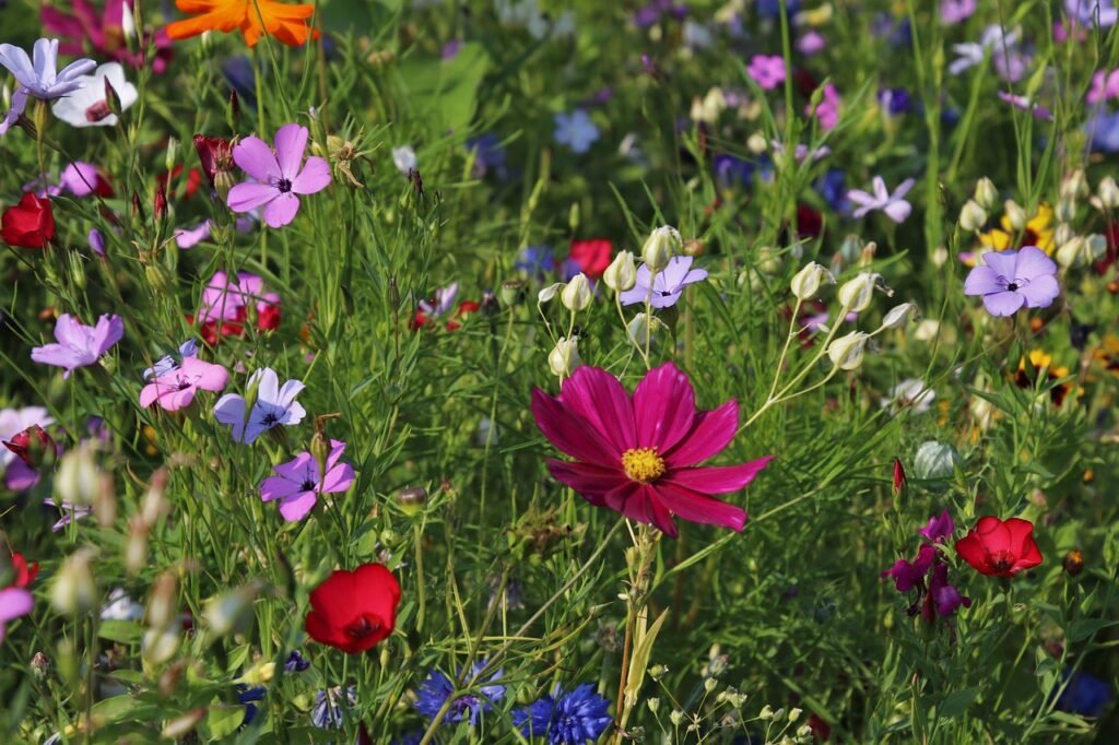 valley of flowers athiti devo bhavo tours rishikesh uattrakhand