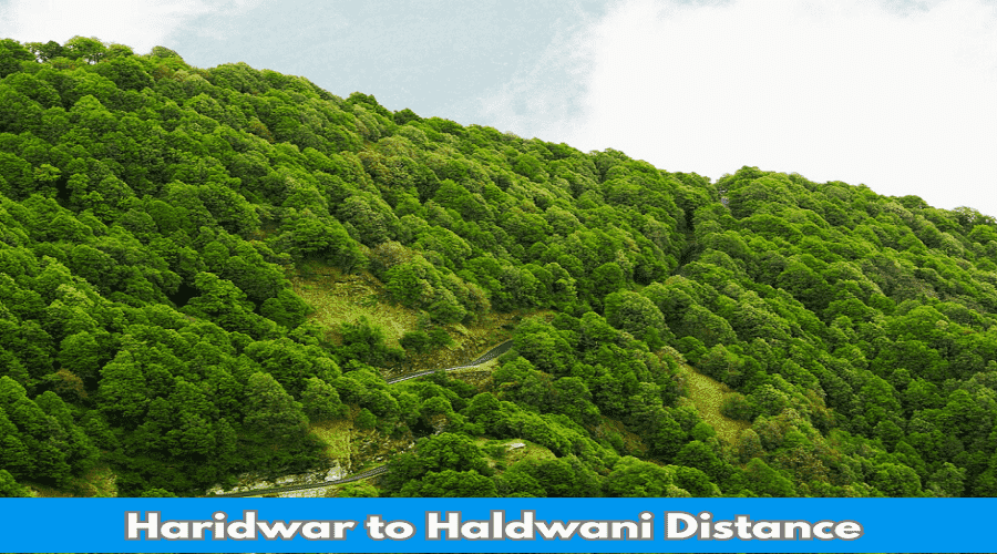 Haridwar to Haldwani Distance