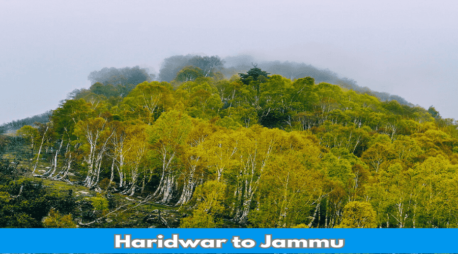 Haridwar to Jammu Distance