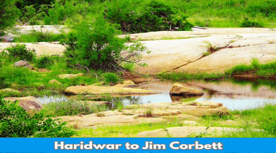 Haridwar to Jim Corbett distance