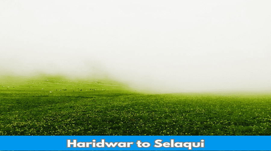 Haridwar to Selaqui Distance