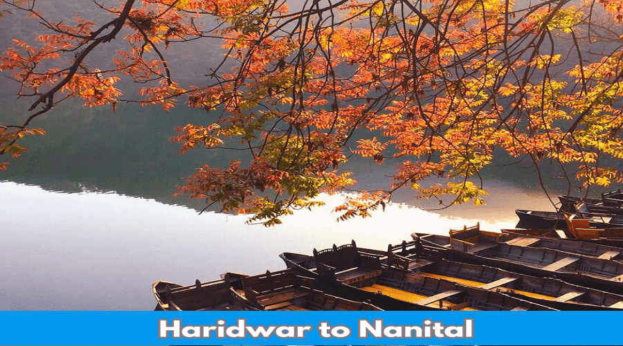 haridwar to nainital distance