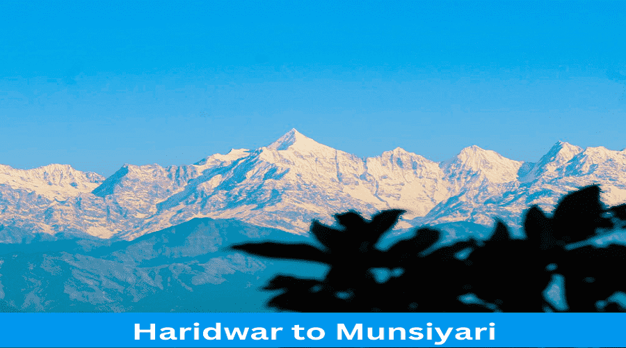 Haridwar to Munsiyari Distance