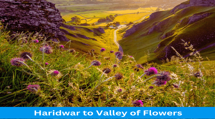 Haridwar to Valley of Flowers