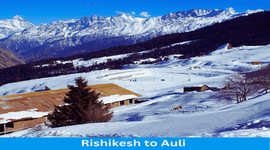 Rishikesh to Auli